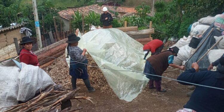 CONTINÚAN ELABORANDO ABONO ORGÁNICO